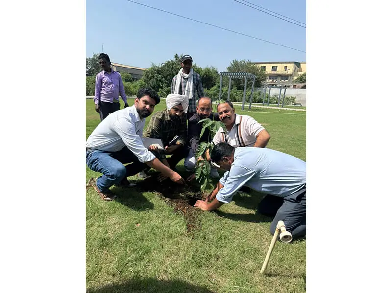 Miyawaki Urban Forest, Ludhiana