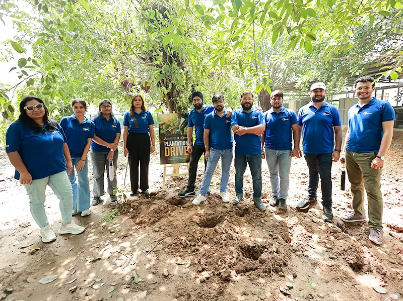 Tree Plantation Drives